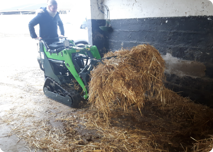 HORSE MANN Valet De Ferme Terranjou Img 3